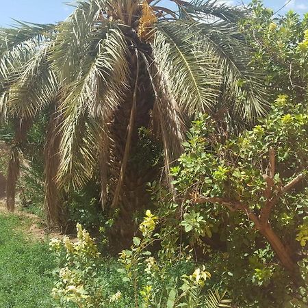 Maison D'Hotes Jardin Tamnougalt מראה חיצוני תמונה